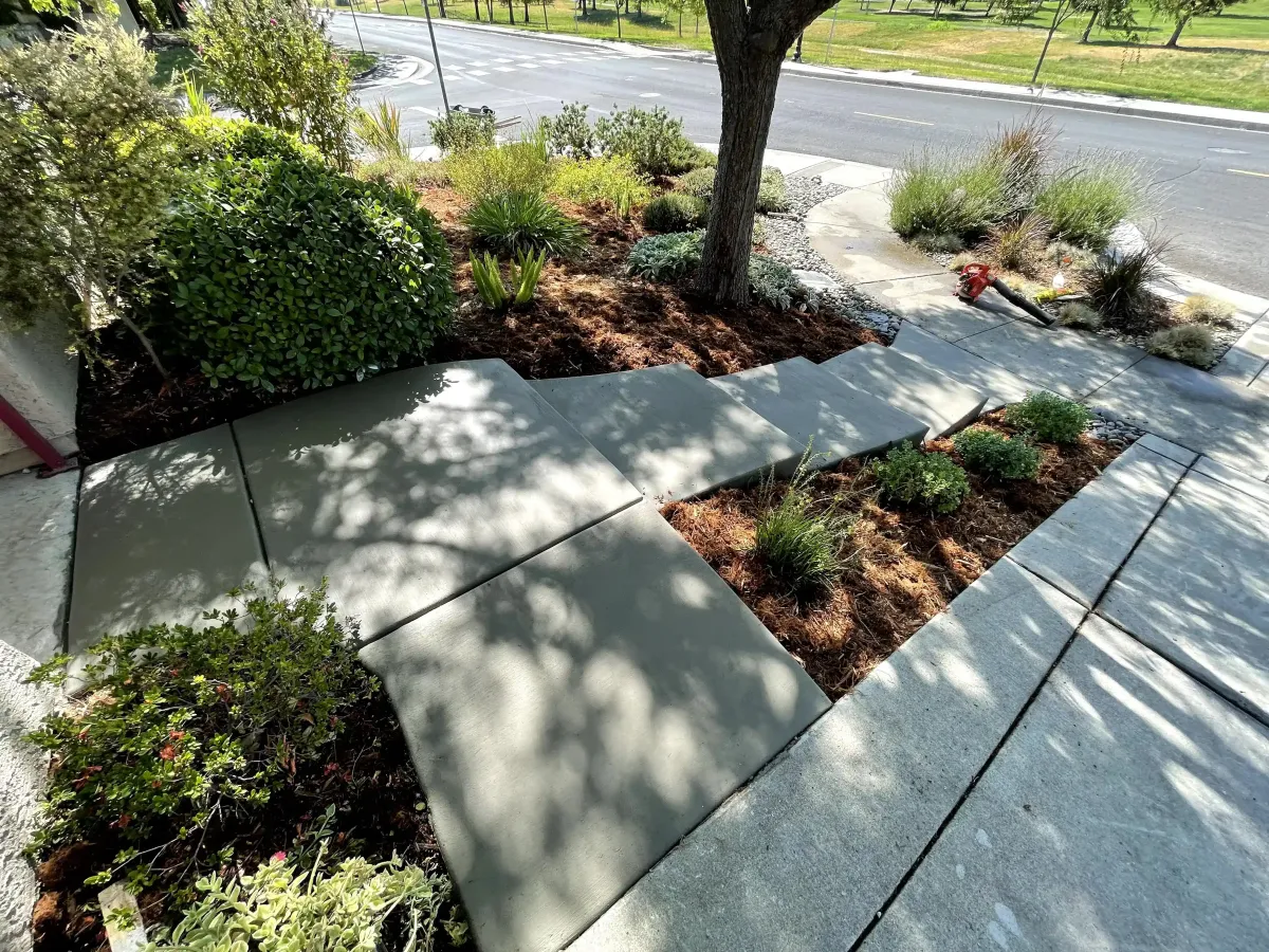 Finished residential concrete sidewalk